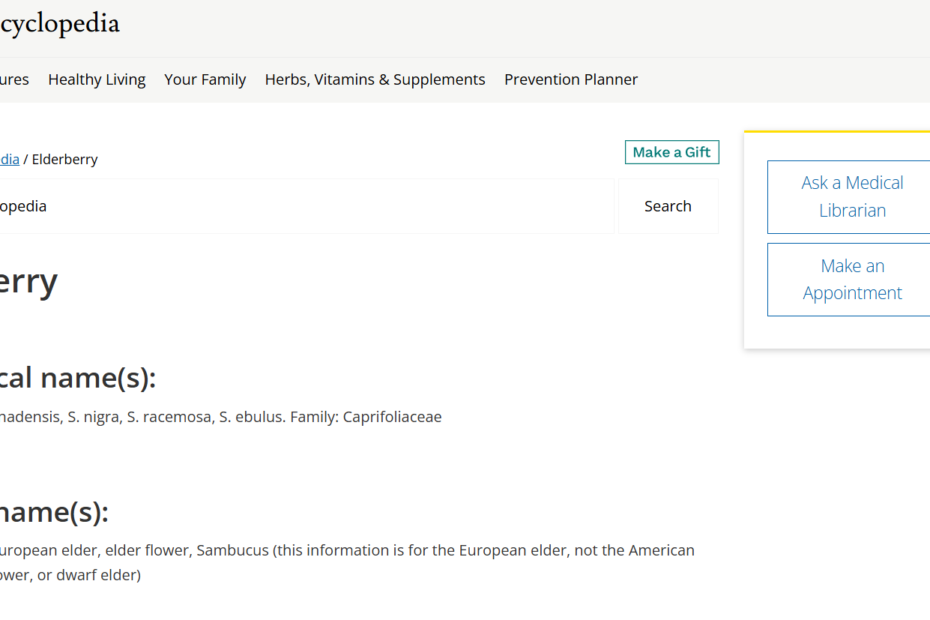 A detailed photo of a cluster of ripe, dark purple elderberries hanging from a branch, contrasted with a small bowl of cooked elderberry syrup. This illustrates the transition from the raw plant to a safe, consumable supplement.