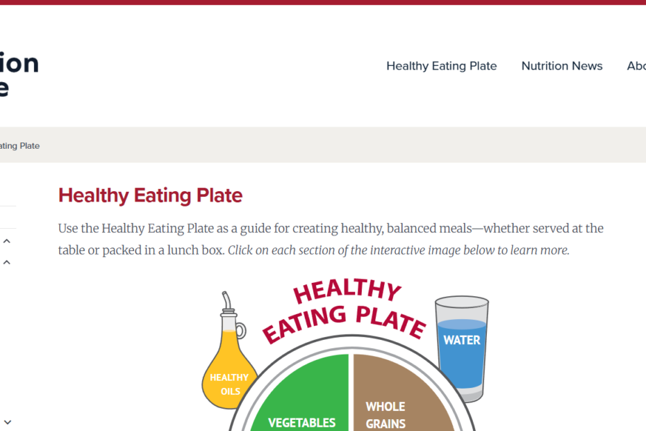 Comprehensive diagram of human metabolic pathways showing the conversion of macronutrients into cellular energy and ATP through the Krebs cycle.